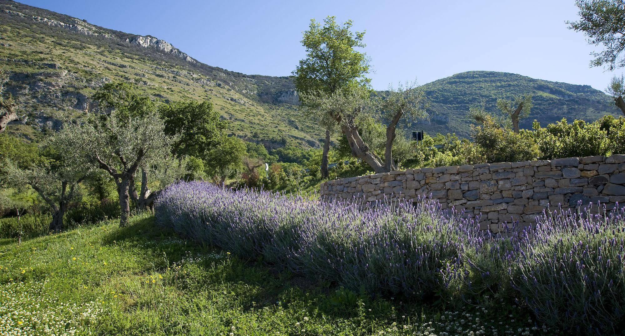 Borgo La Pietraia Hotel เพสตุม ภายนอก รูปภาพ